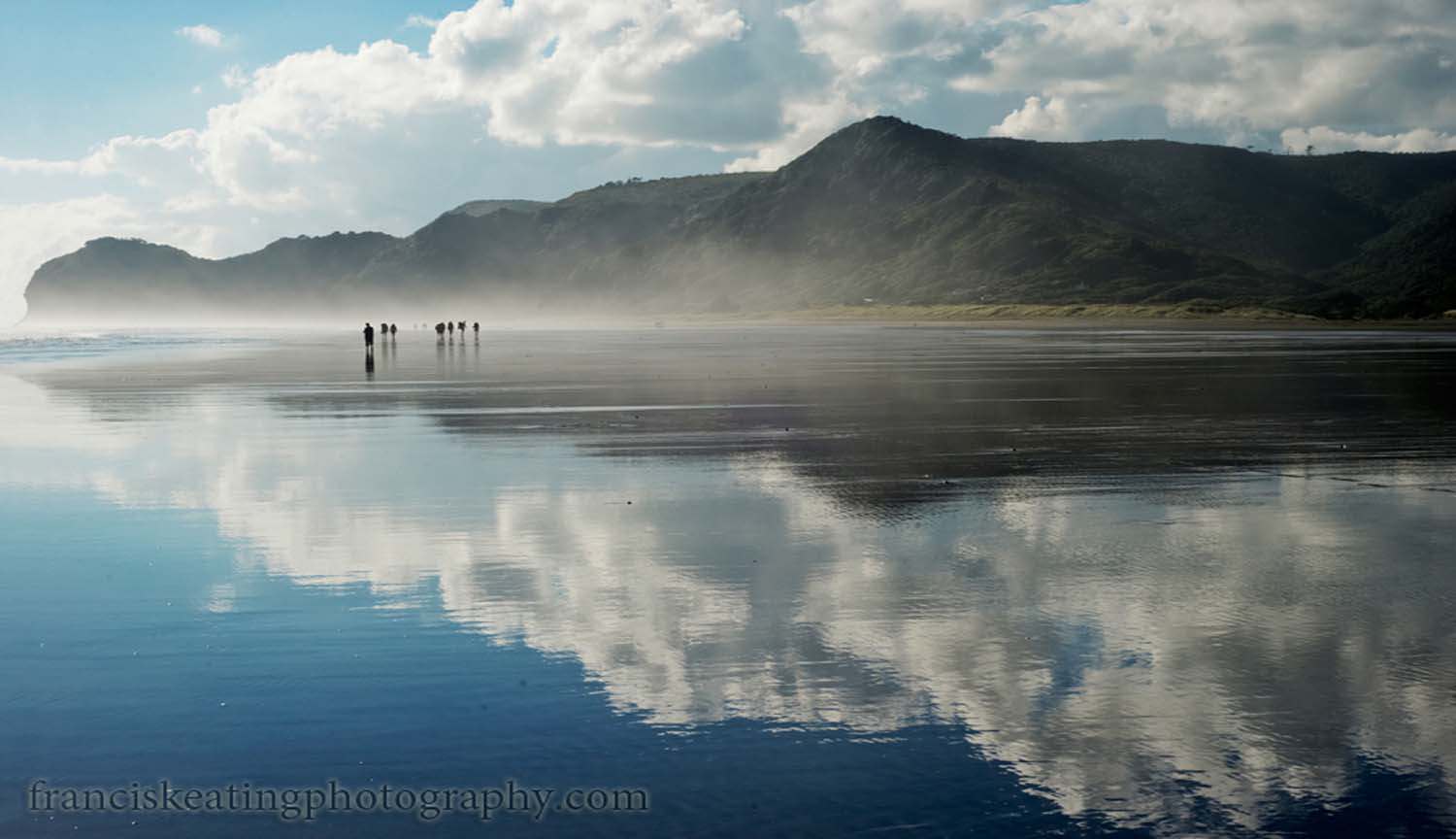 New Zealand Landscape